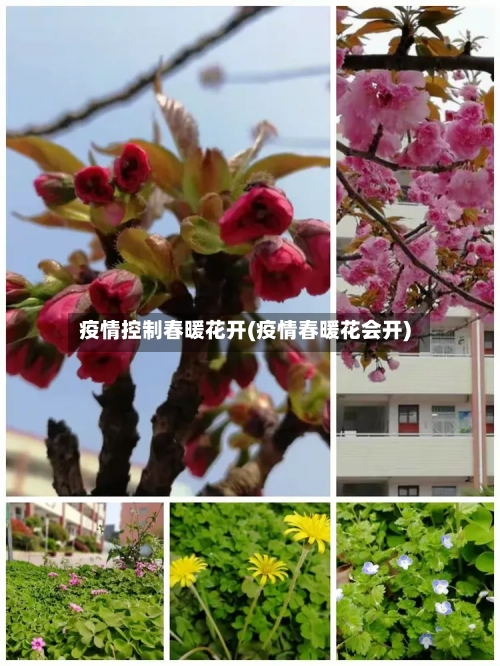 疫情控制春暖花开(疫情春暖花会开)-第1张图片