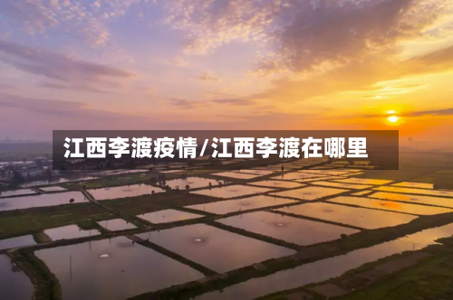 江西李渡疫情/江西李渡在哪里-第1张图片