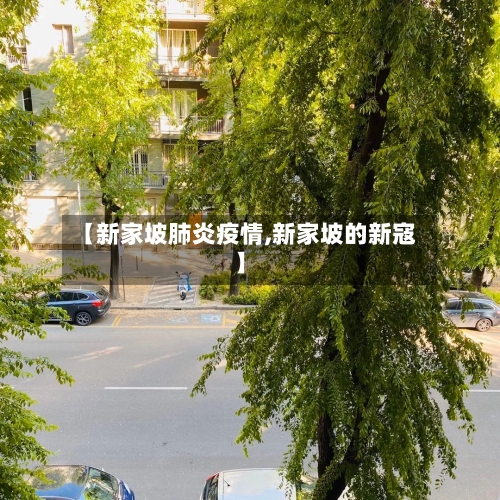 【新家坡肺炎疫情,新家坡的新寇】-第1张图片