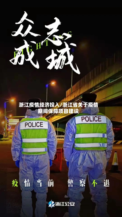 浙江疫情经济投入/浙江省关于疫情期间保障项目建设-第1张图片