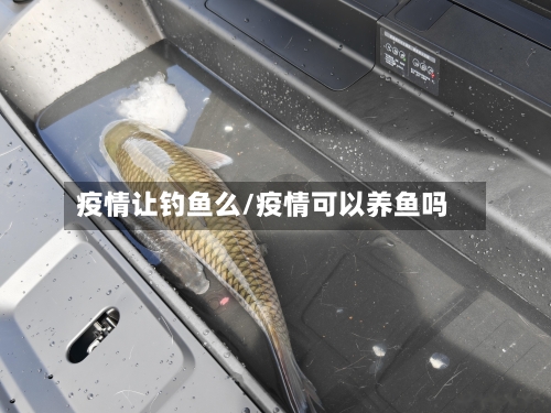 疫情让钓鱼么/疫情可以养鱼吗-第1张图片