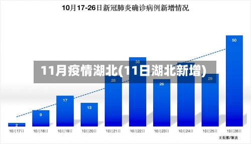 11月疫情湖北(11日湖北新增)-第1张图片