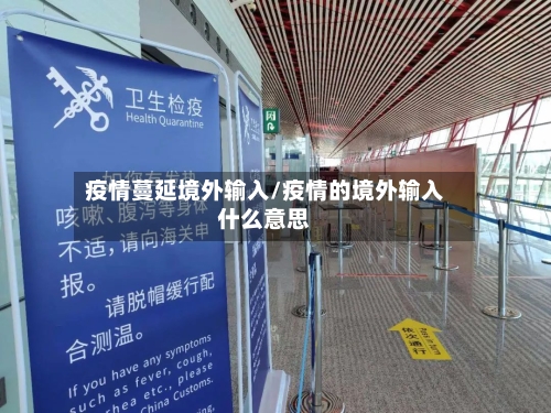疫情蔓延境外输入/疫情的境外输入什么意思-第2张图片