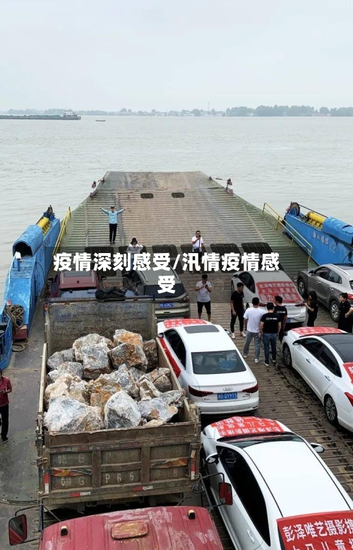 疫情深刻感受/汛情疫情感受-第3张图片