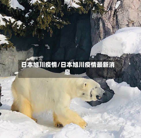 日本旭川疫情/日本旭川疫情最新消息-第1张图片